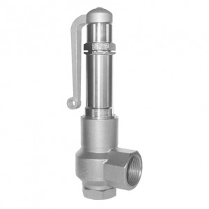 type-06805-safety-valve-with-bellow-seal-300x300-1